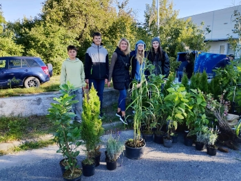 3308b4f9-601d-4ae0-bb95-7abf593d75e4