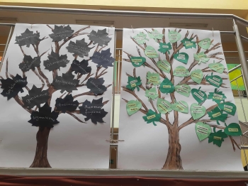 574e2ea4-2e09-45ac-81f9-4f13b2cfbfc6