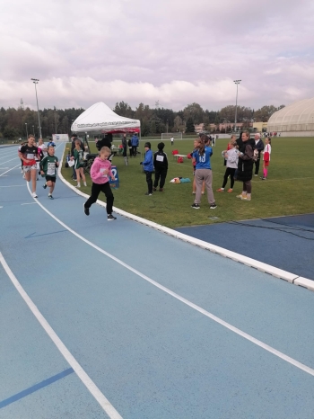 5e976de8-d2bd-493e-8950-960824d0a5cc