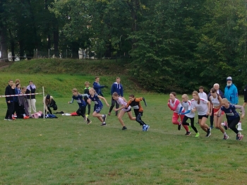 2664e241-901c-40af-9899-0c4824cc8488