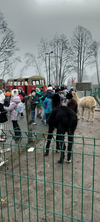 0e1fb8a3-b0fb-493e-b6c7-78b6036007e8