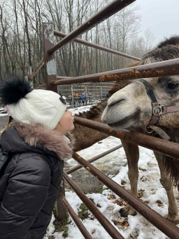 f58ff12b-b54c-4998-a036-44e2899f41cd