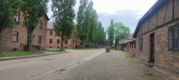 IMG20260521150117