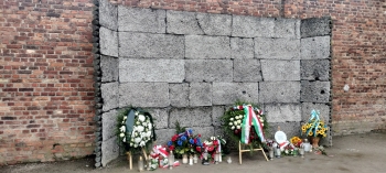 IMG20260521154304