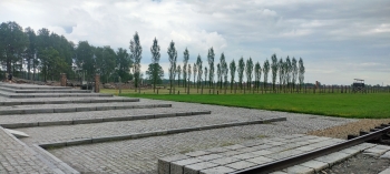 IMG20260521171706