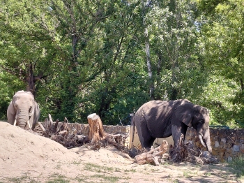 20260526_111337
